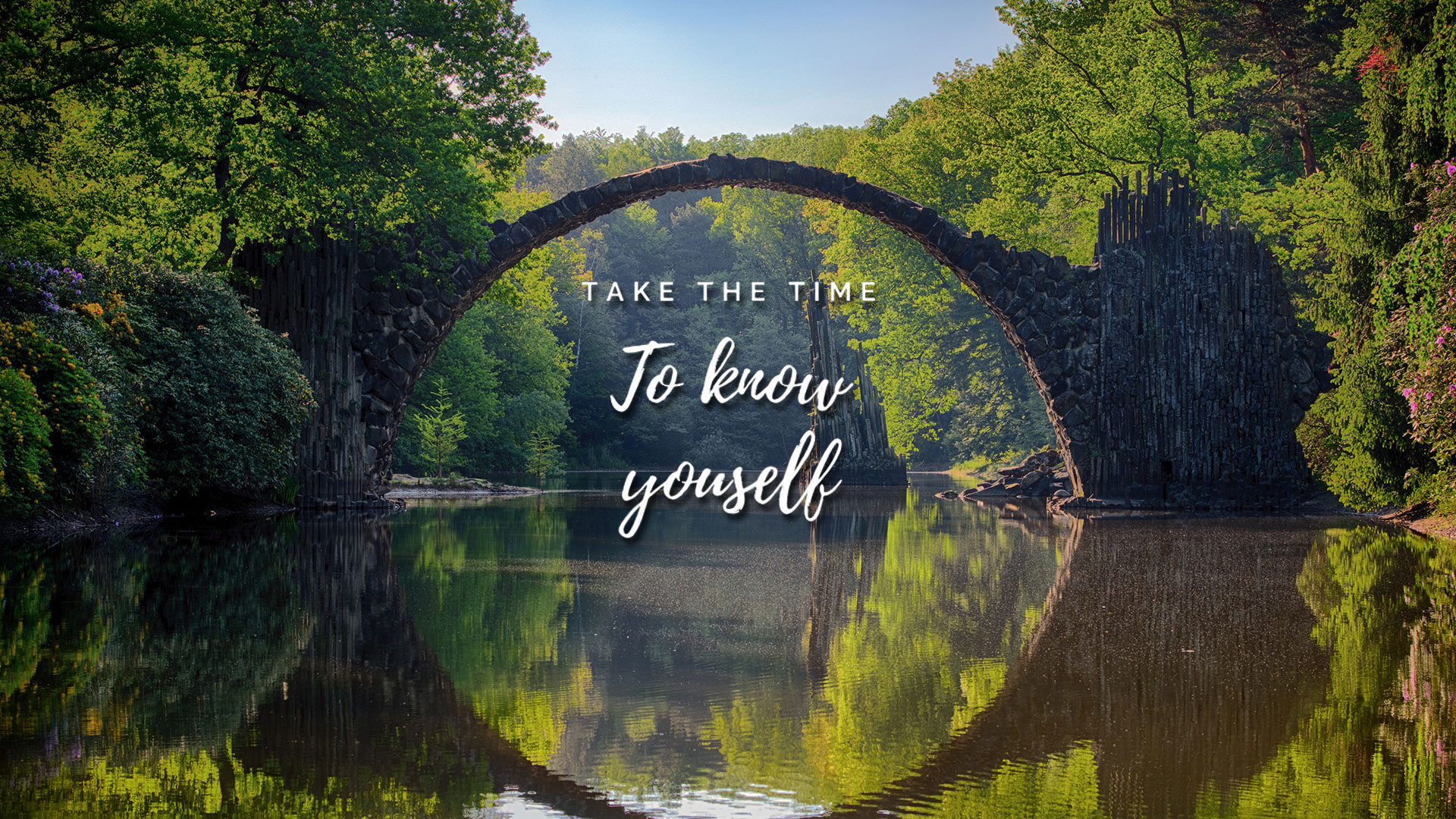 Conscious Therapy and Wellness