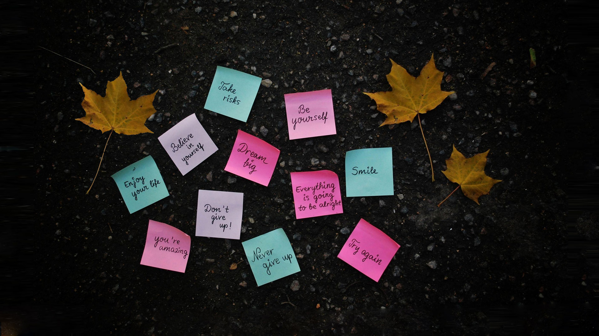 Conscious Therapy and Wellness